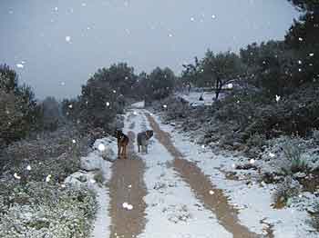snow day in catalunya
